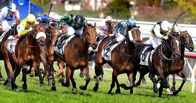 Tìm Hiểu Cá Cược Đua Ngựa TK88 Với Cách Chơi Hiệu Quả 2 Tìm Hiểu Cá Cược Đua Ngựa TK88 Với Cách Chơi Hiệu Quả