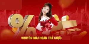 Hoàn Trả Không Giới Hạn Tại TK88 Với Ưu Đãi Hấp Dẫn